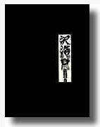 Sawa’s Library Of Magic by Richard Kaufman