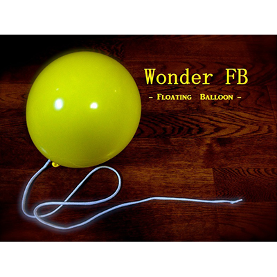 Wonder Floating Balloon by RYOTA