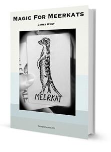 Magic For Meerkats by James Went
