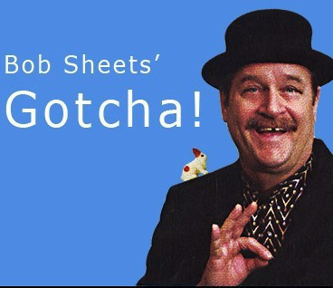 Gotcha by Bob Sheets