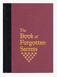 The Book of Forgotten Secrets by Stephen Minch